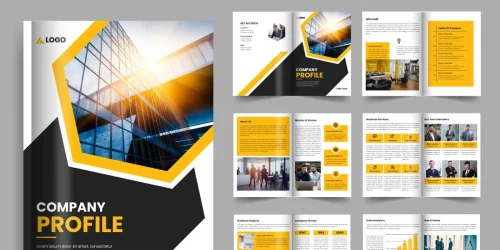 Company Profile design
